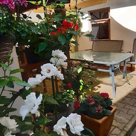 Appartement U Pani Malirky à Valtice Extérieur photo